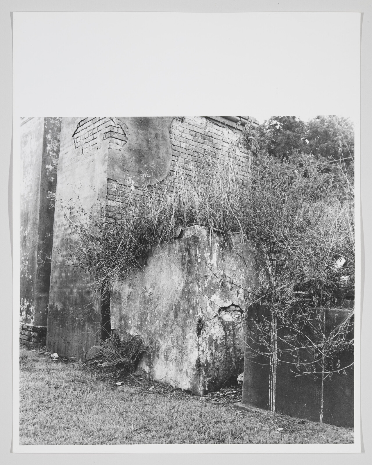 Crumbling brick and plaster wall overgrown with tall grass and weeds.