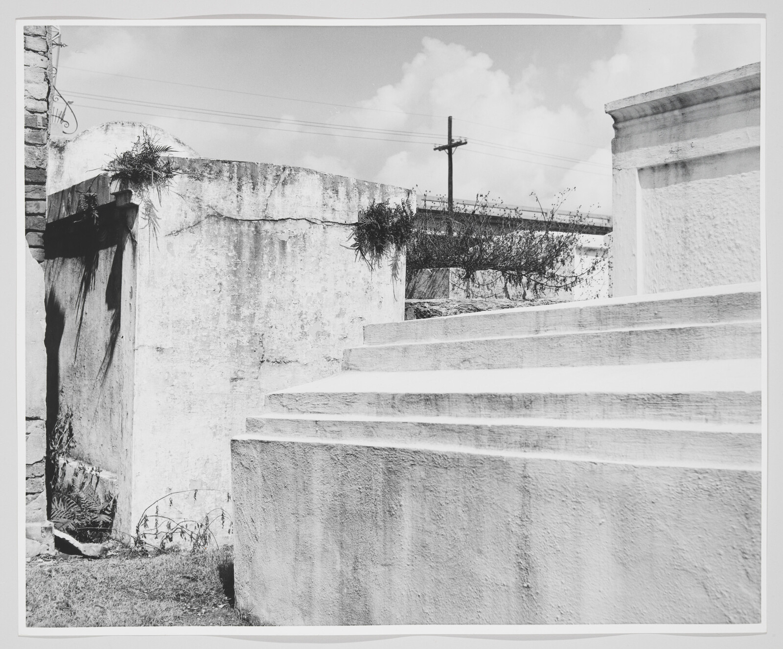 Wide concrete steps lead past weathered stucco walls with plants growing and a distant utility pole.