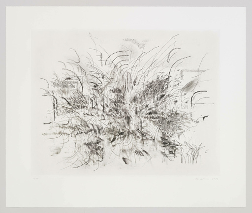 Julie Mehretu | Algorithms/Apparitions/Translations | Whitney Museum of ...