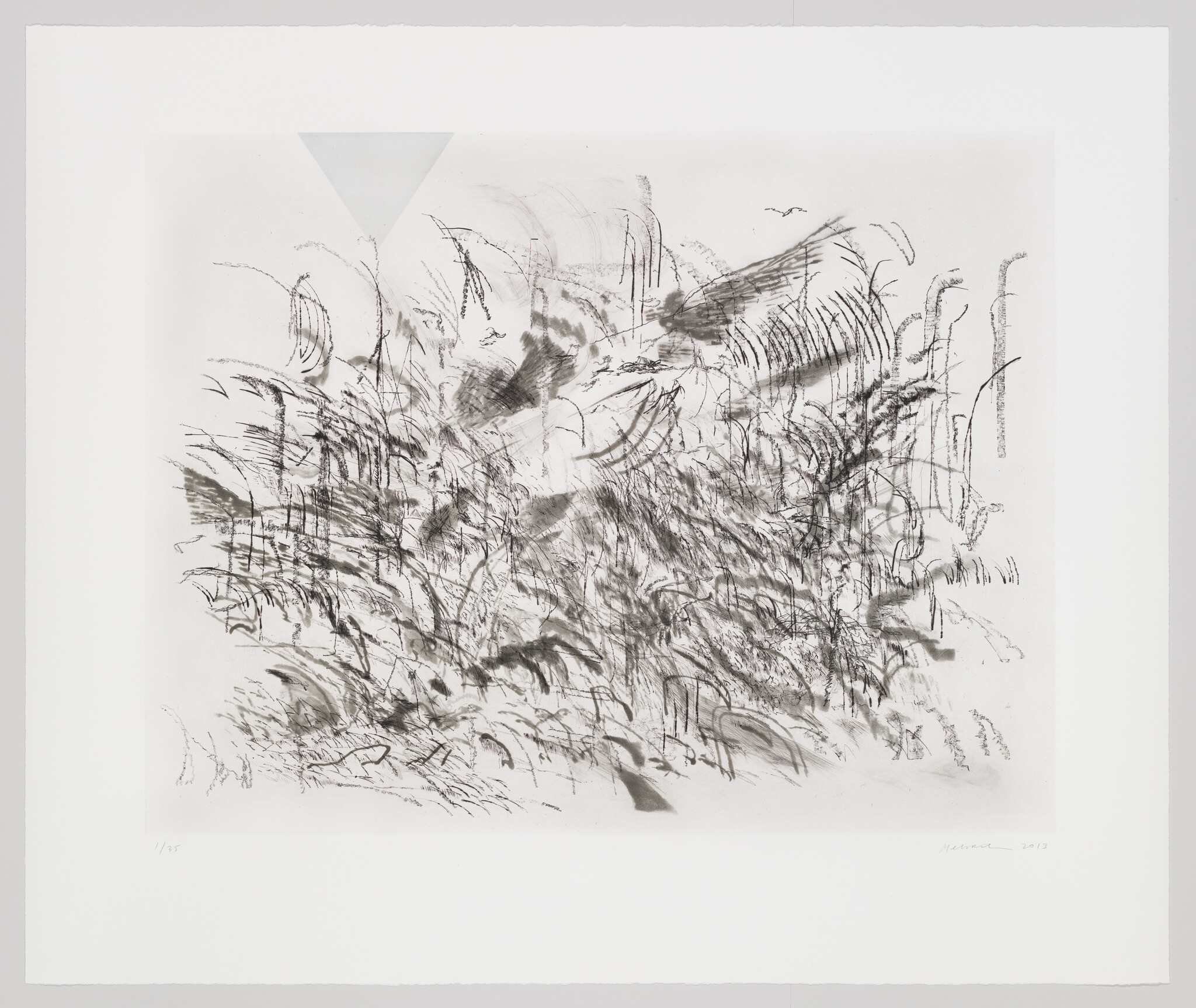 a dense collection of fine and smudged grey arching lines