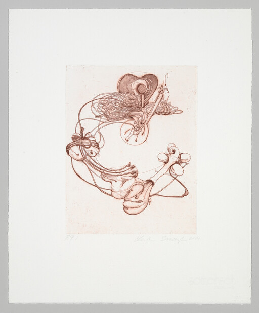 Delicate brown line drawing of looping organic shapes connected to a hat and stringed instrument.