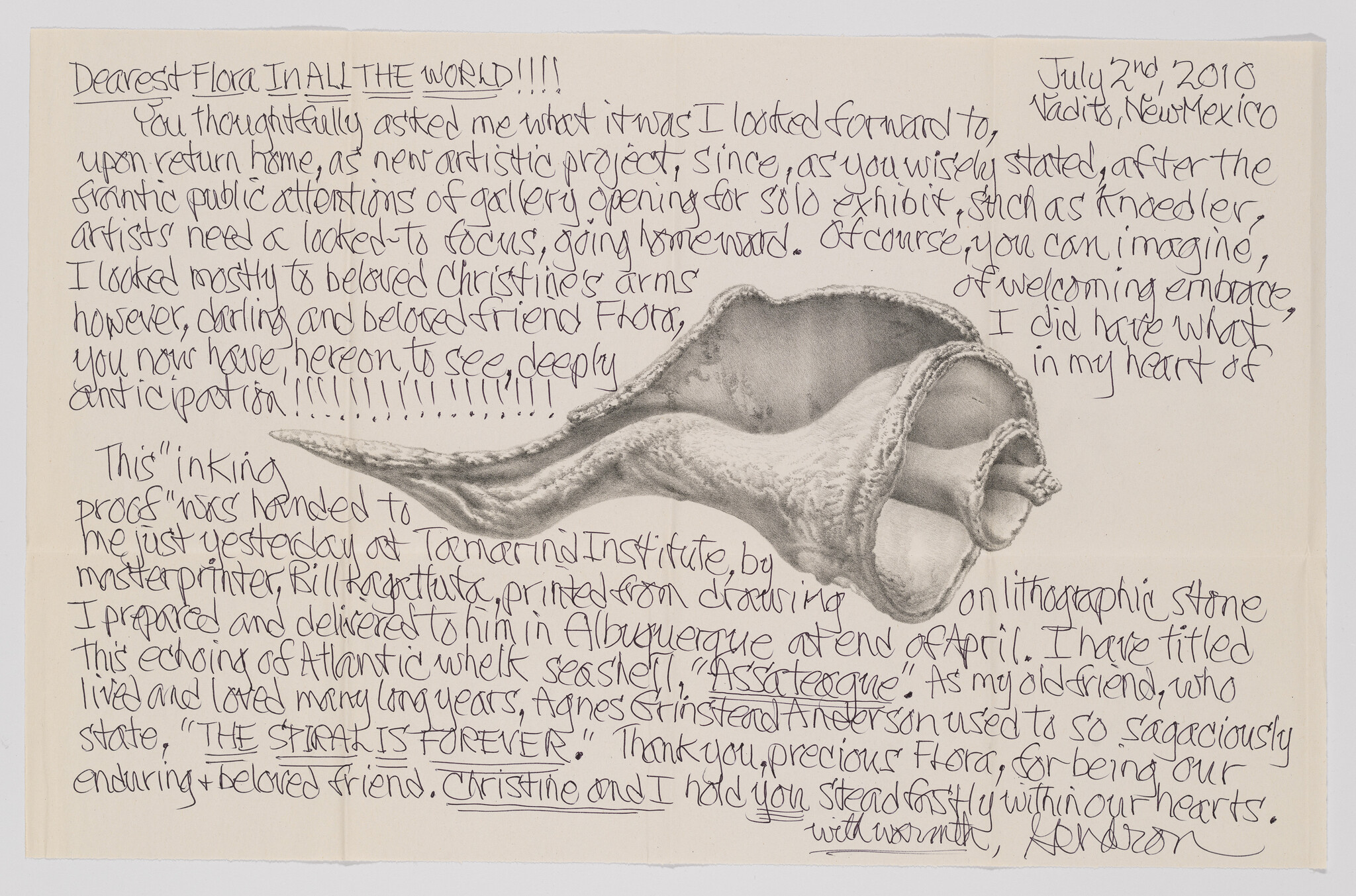 Handwritten letter with detailed pencil drawing of a large conch shell and cursive notes.