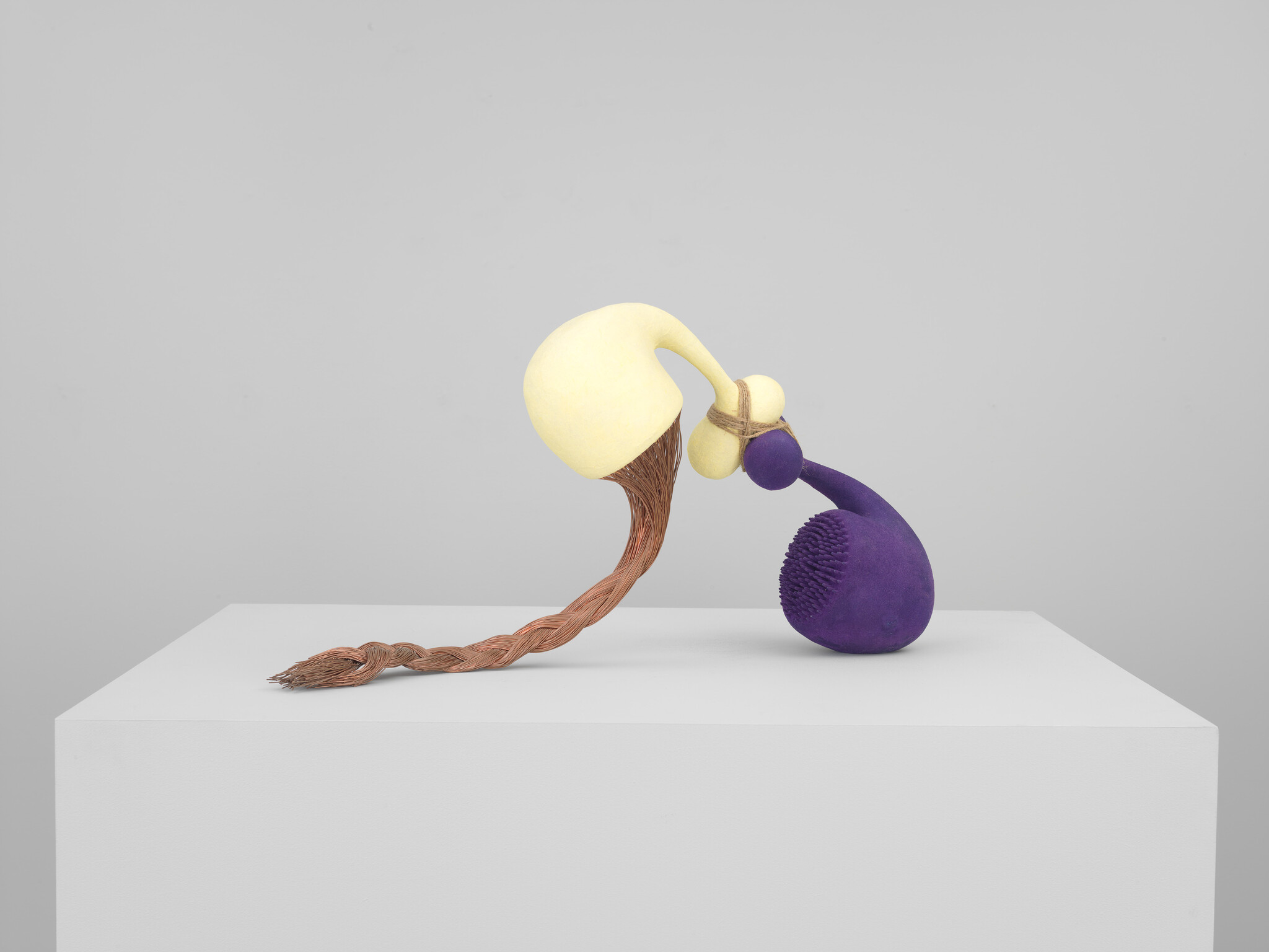 Two connected abstract forms, a yellow head with braided brown tail leaning toward a purple textured bulb.