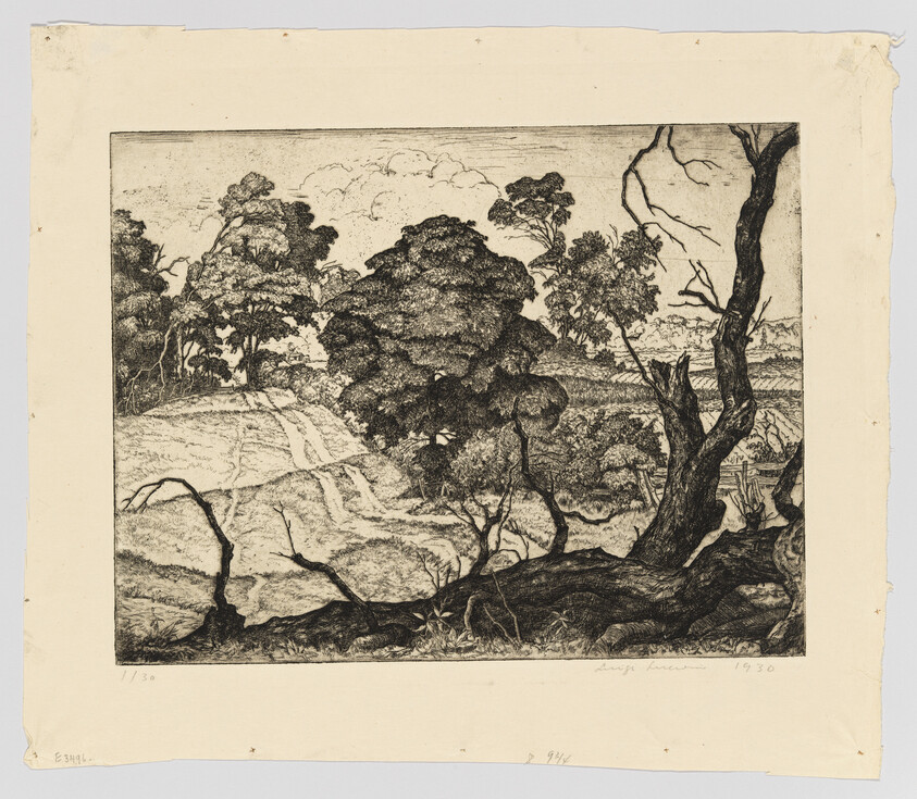 A black-and-white etching shows a wooded hillside with twisted trees and a fallen log.