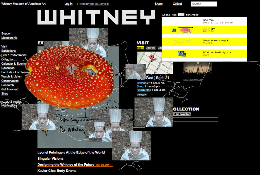 Collage with a large mushroom, multiple images of a person in a chef's hat, and text about the Whitney Museum. Data and map elements included.