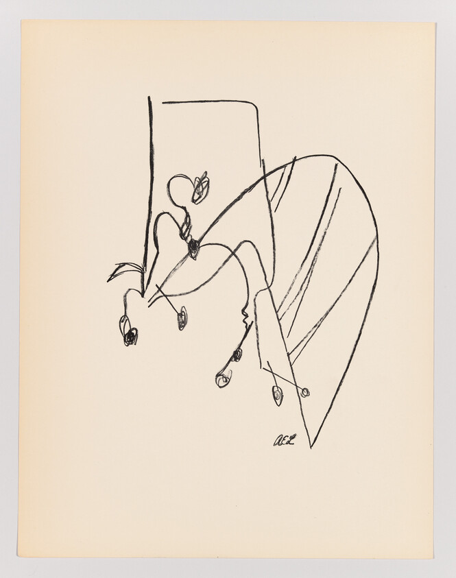 Loose ink drawing of a hanging plant with curved stems, small buds, and a large striped leaf.