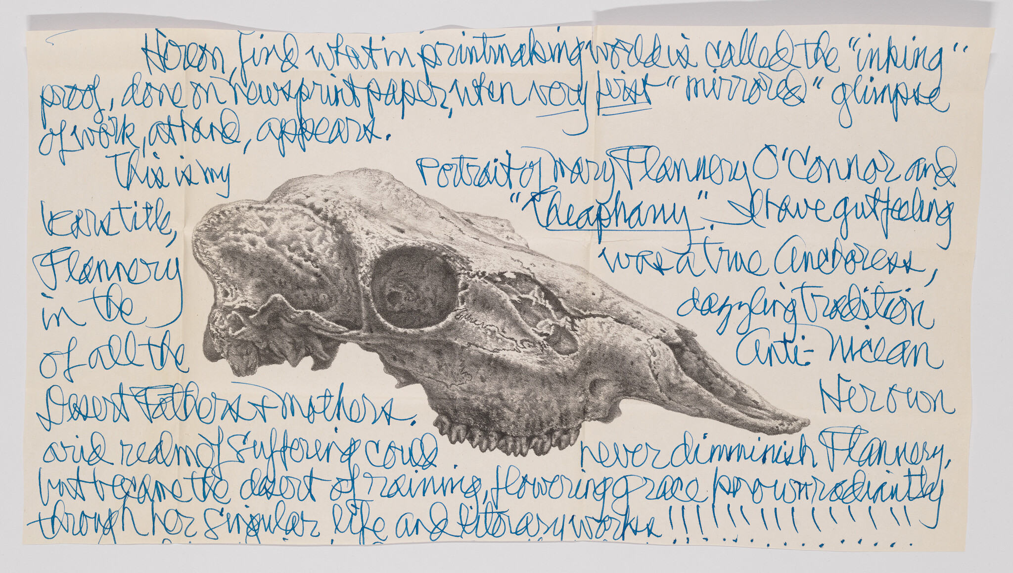 Large animal skull drawing surrounded by blue handwritten notes covering the page.