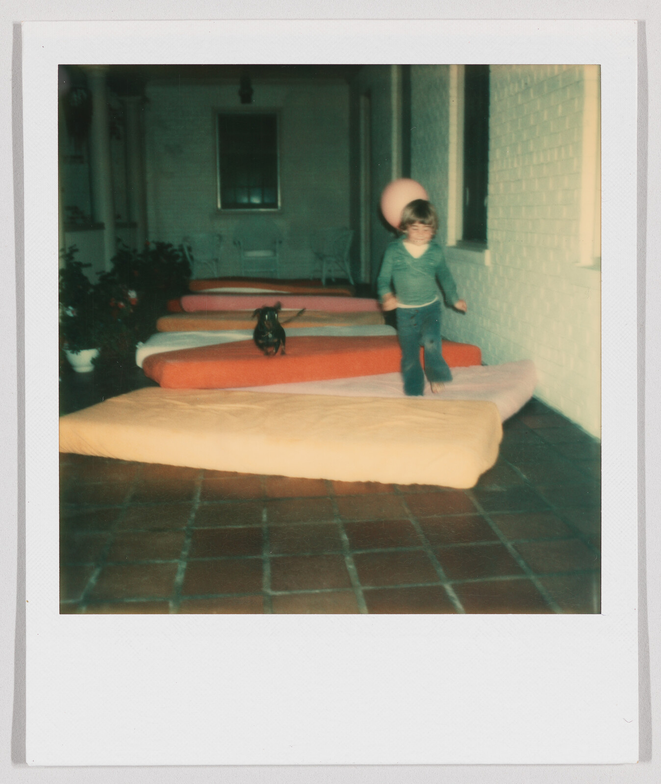 Young child and small dog playing on several mattresses lined up on a tiled floor in a hallway.