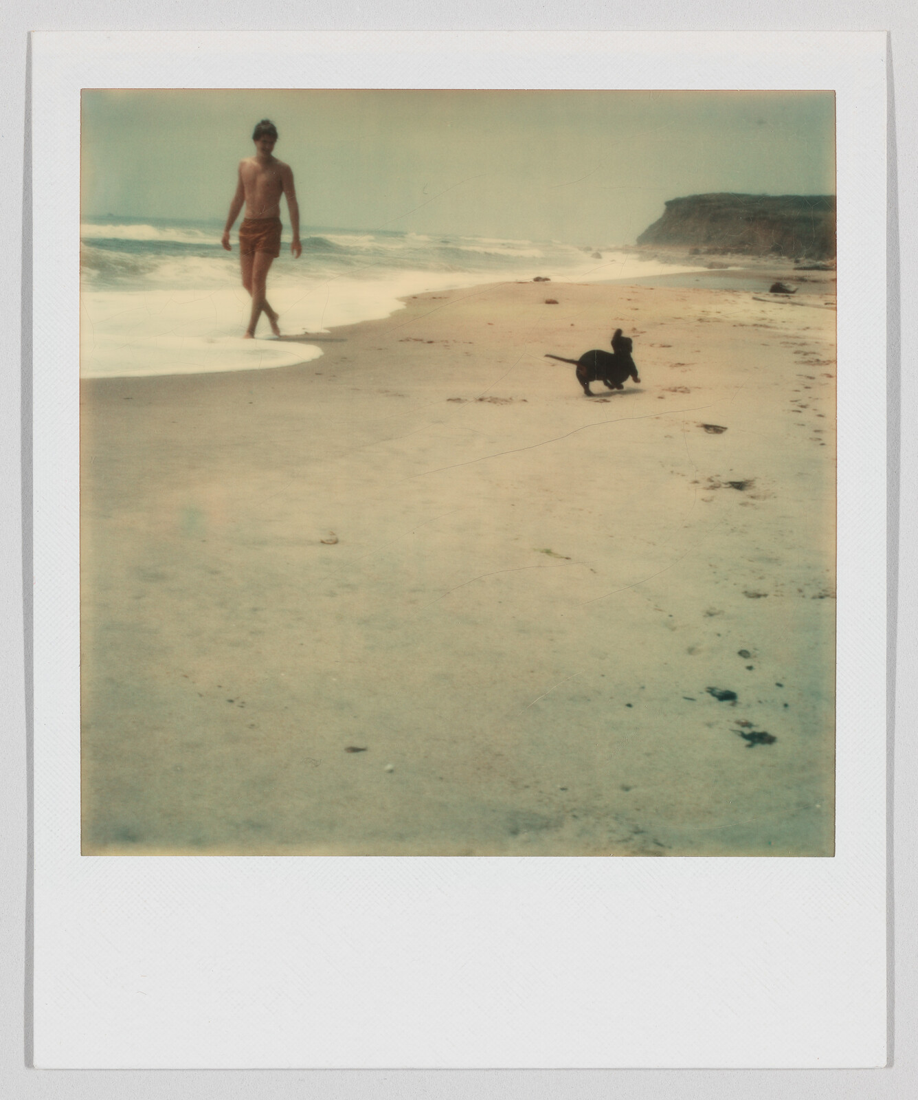 A man in swim trunks walks along a sandy beach while a small dog runs ahead near the water.