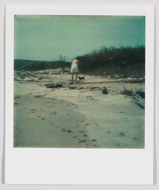 A person in white shorts bends down to pet a small dog on a sandy, debris-strewn beach.