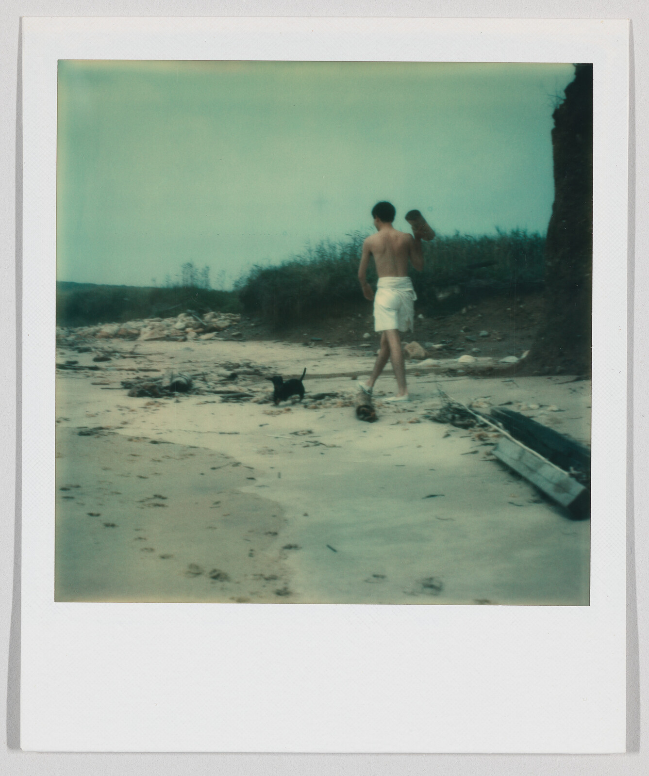 A person with a towel around their waist walks on a sandy beach with a small black dog.