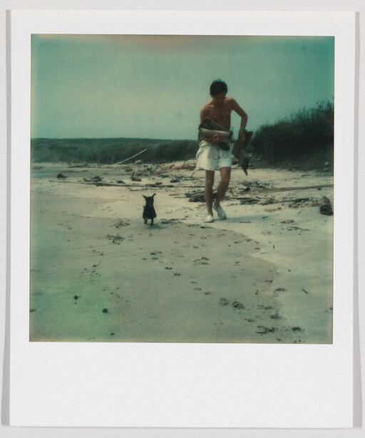 A shirtless man carries driftwood along a sandy beach while a small dog follows.