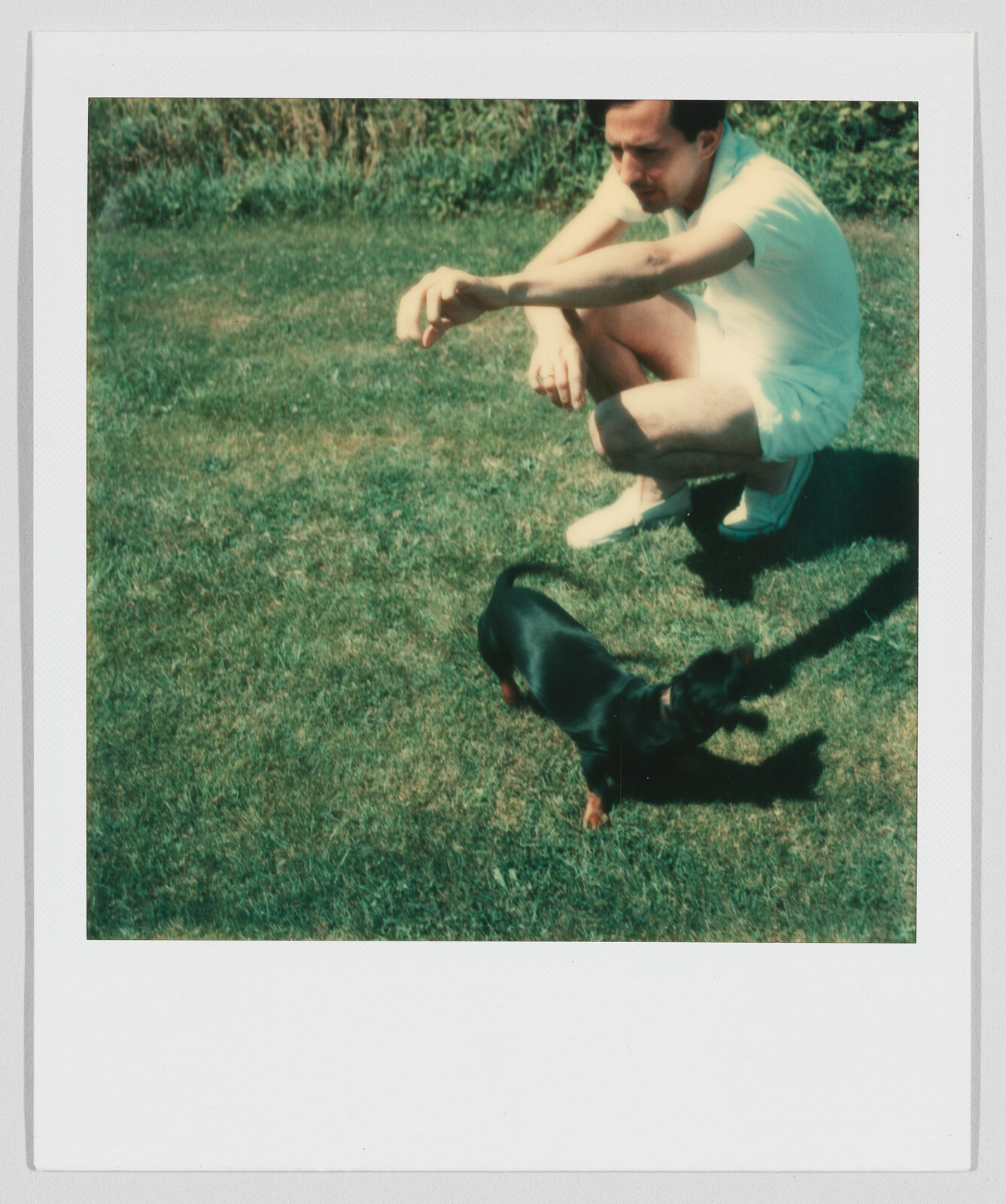 A man in white crouches on grass, reaching out toward a small black and brown dog nearby.