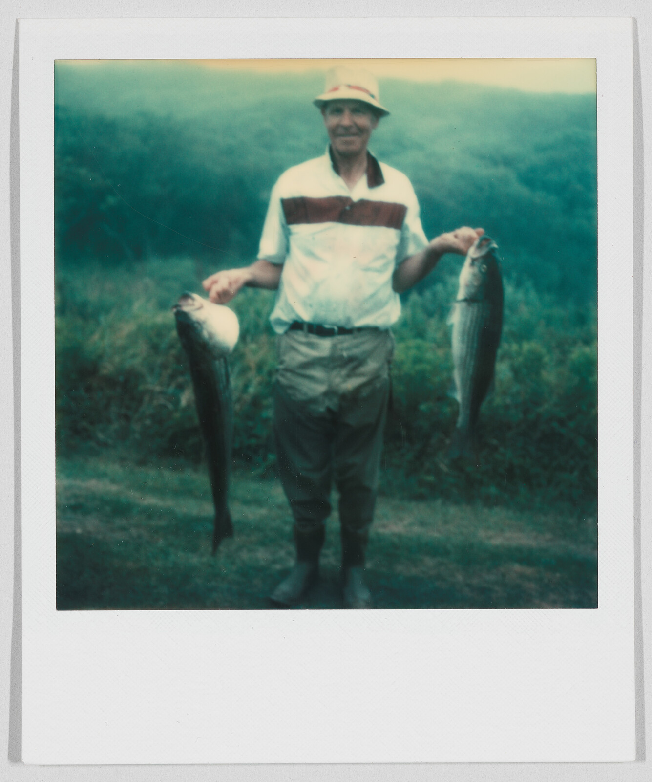 Man standing outdoors holding a large fish in each hand, smiling, with trees and grass in the background.