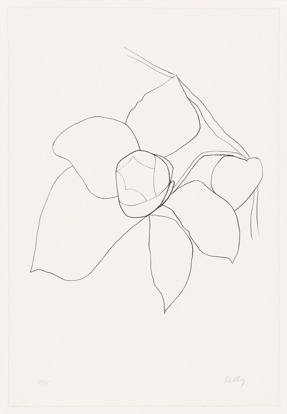 Simple black line drawing of a flower with large petals and a central bud on a stem.