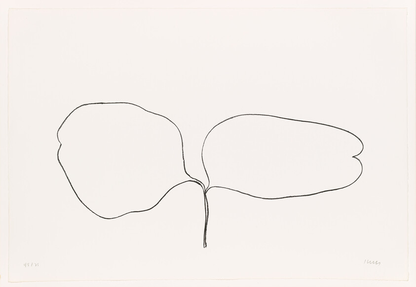 A simple black line drawing of two large leaf-like shapes connected by a short stem.
