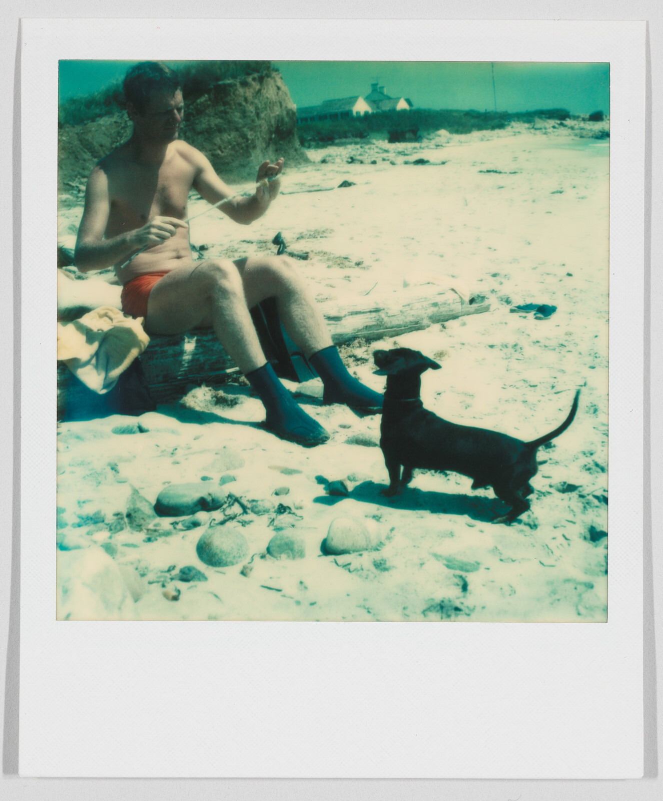 Man in swim trunks and water shoes sits on a log at the beach, facing a small black dog.