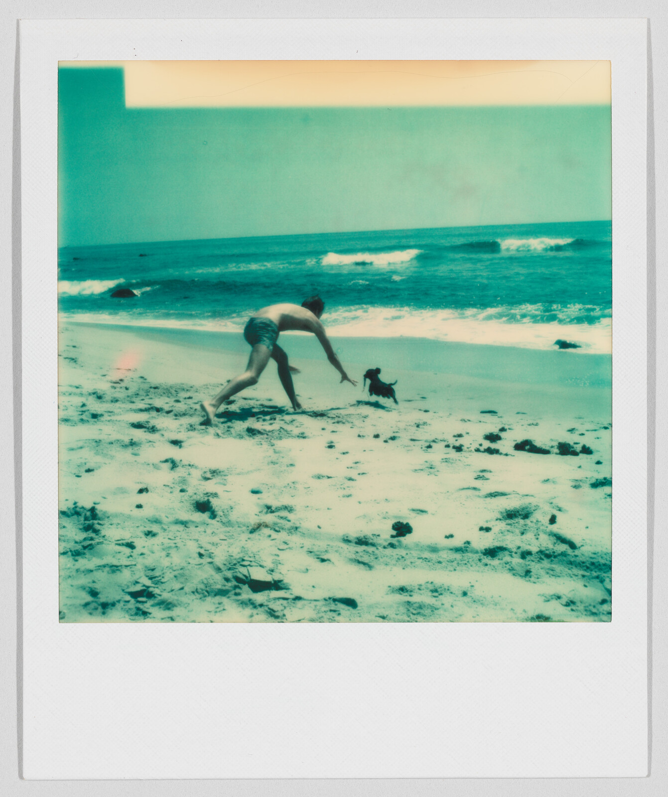 Person in swim trunks playing with a small dog on a sandy beach near the ocean waves.