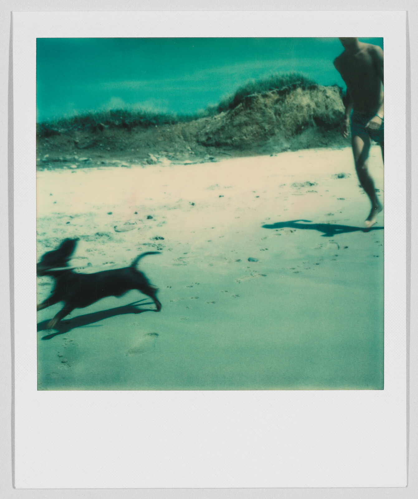 A person runs on a sandy beach while a dog runs ahead, both slightly blurry from motion.