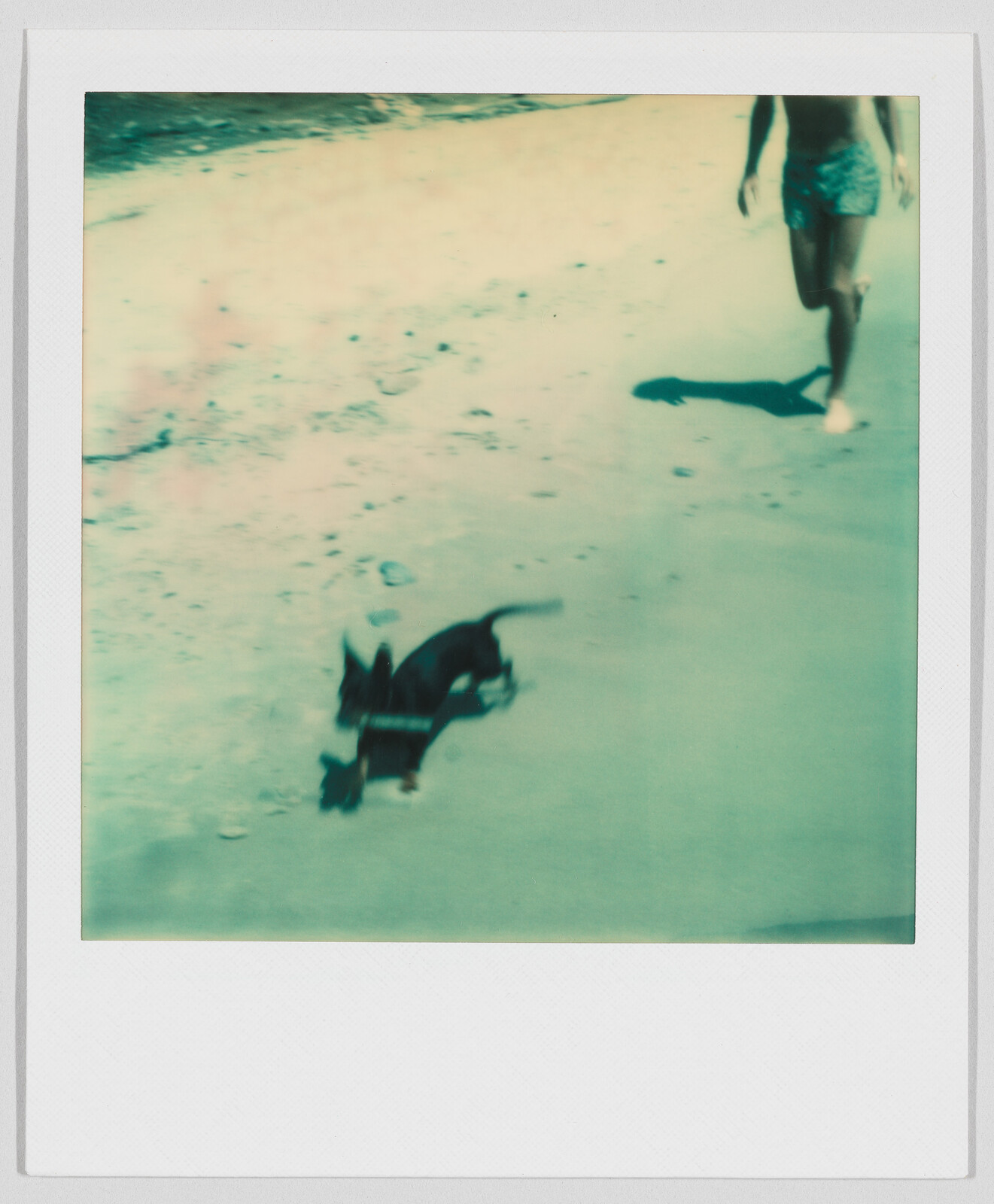 A small dog runs on sand near a person in shorts, both slightly blurry from motion.