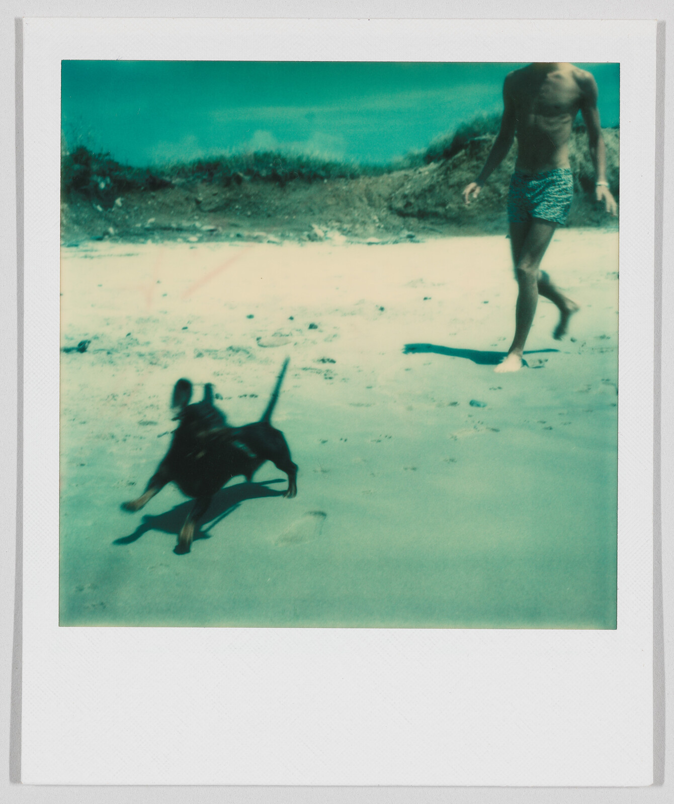 A person in swim trunks walks on the beach while a small dog runs ahead on the sand.