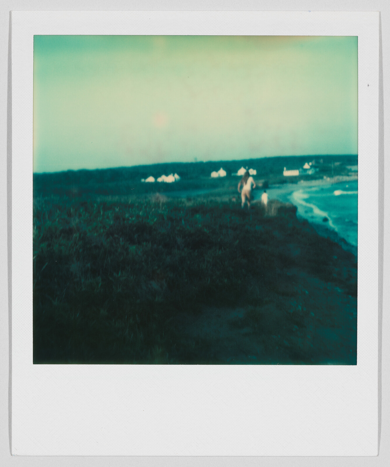 Two people and a dog walk along a grassy path near the ocean, with houses visible in the distance.