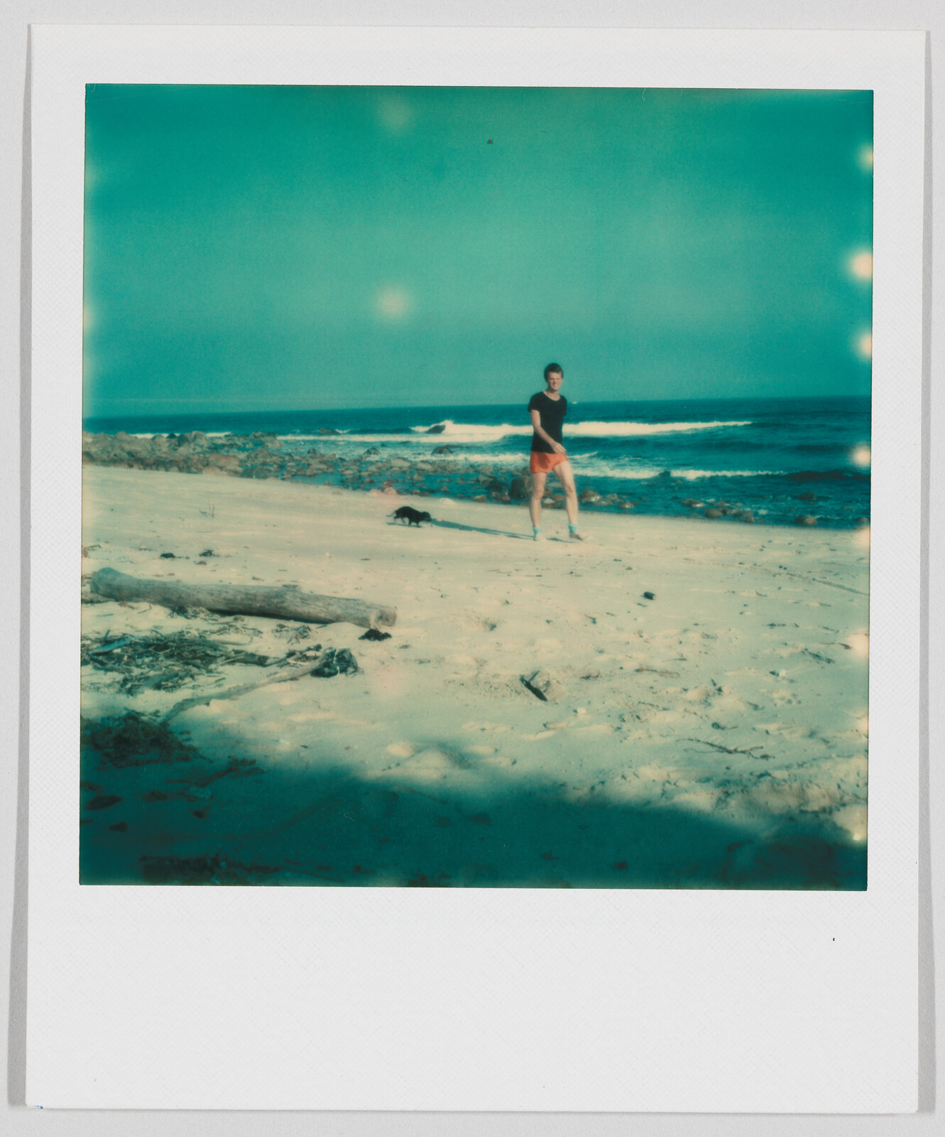Person in shorts stands on a sandy beach near the ocean, with a small dog nearby.