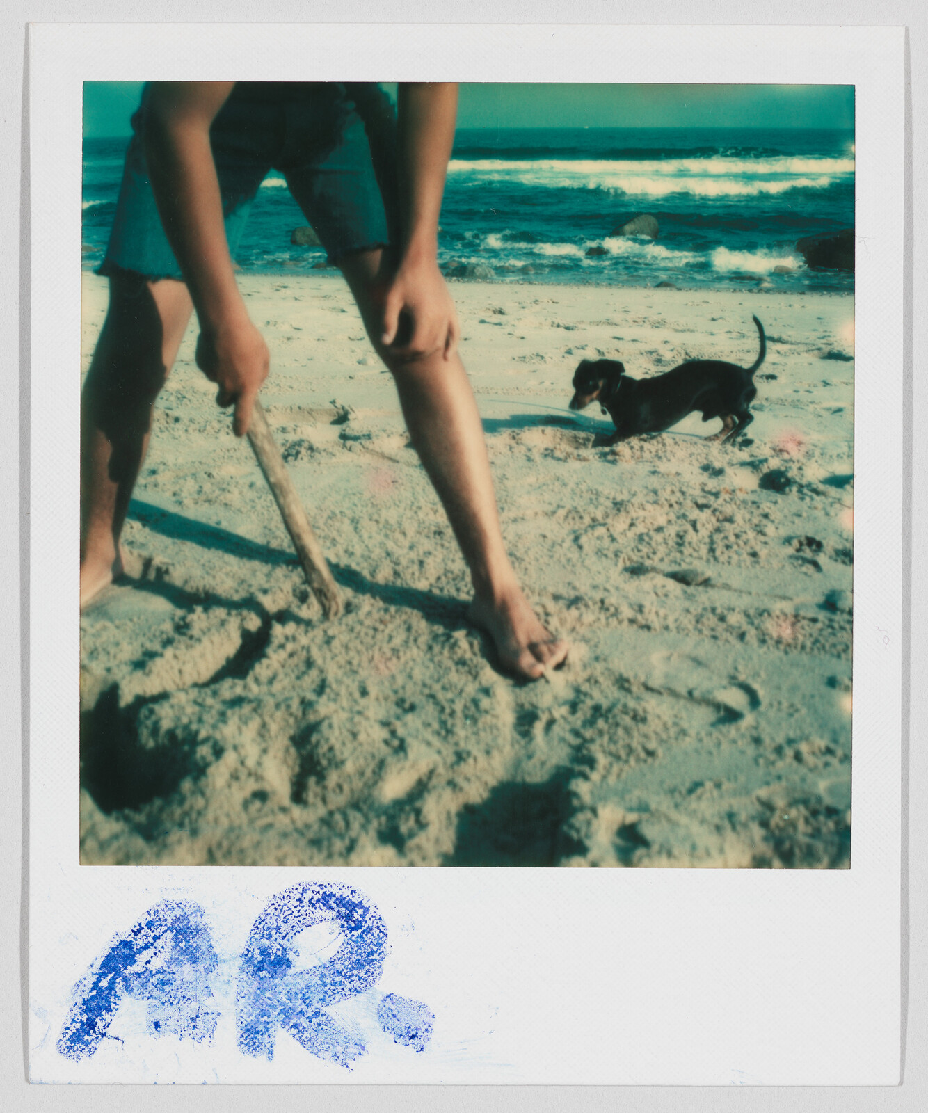 Person in shorts digging in the sand with a stick while a small dog runs nearby on the beach.