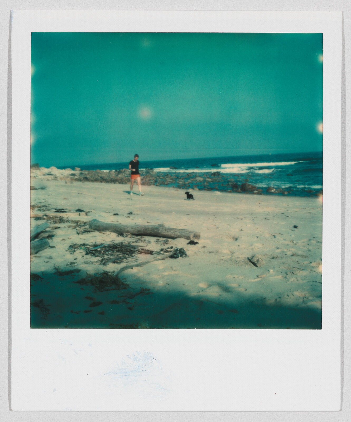 Person walking a small dog along a sandy beach with waves and rocks in the background.
