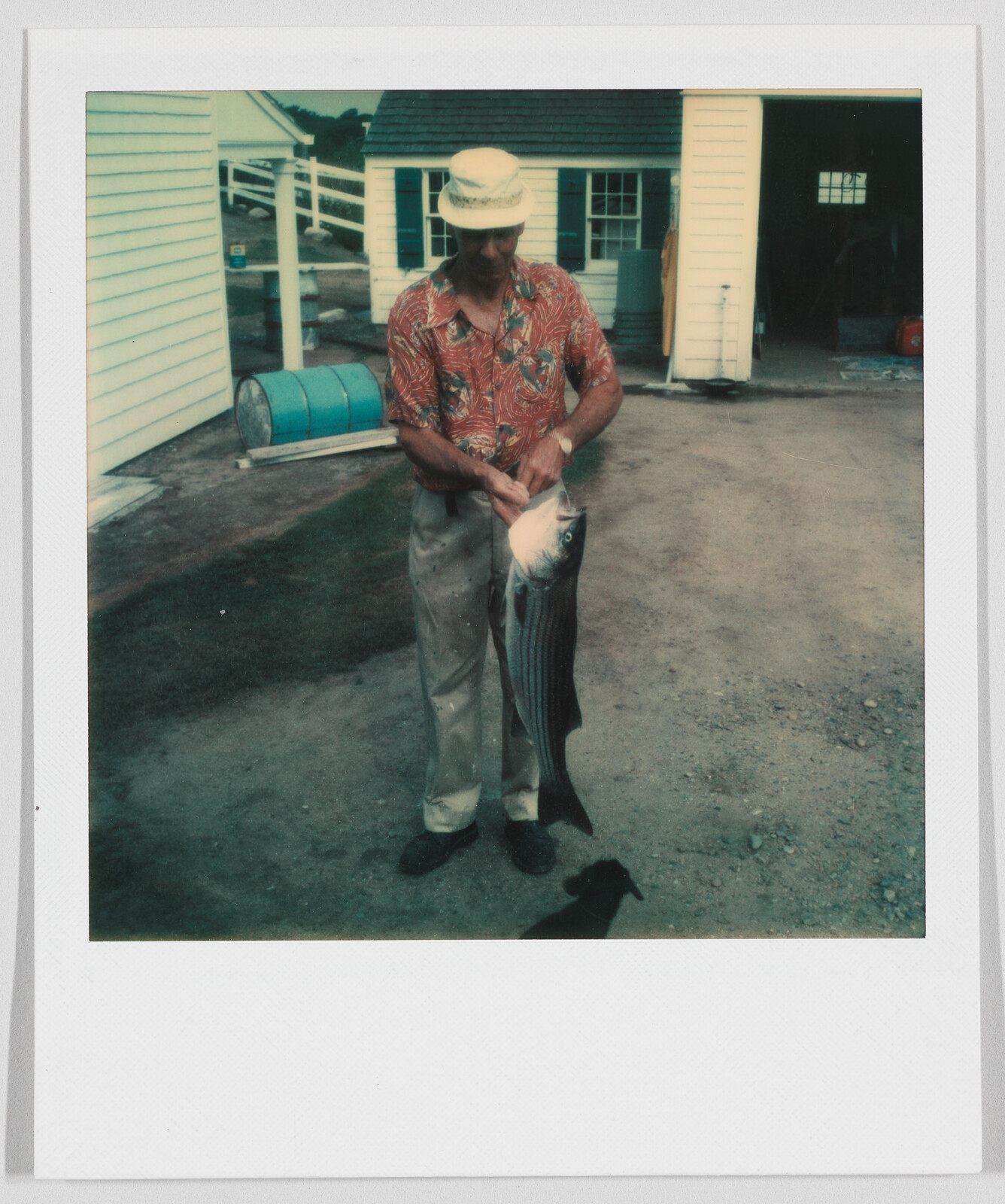 Man wearing a hat and patterned shirt stands outside, holding a large fish by the mouth.