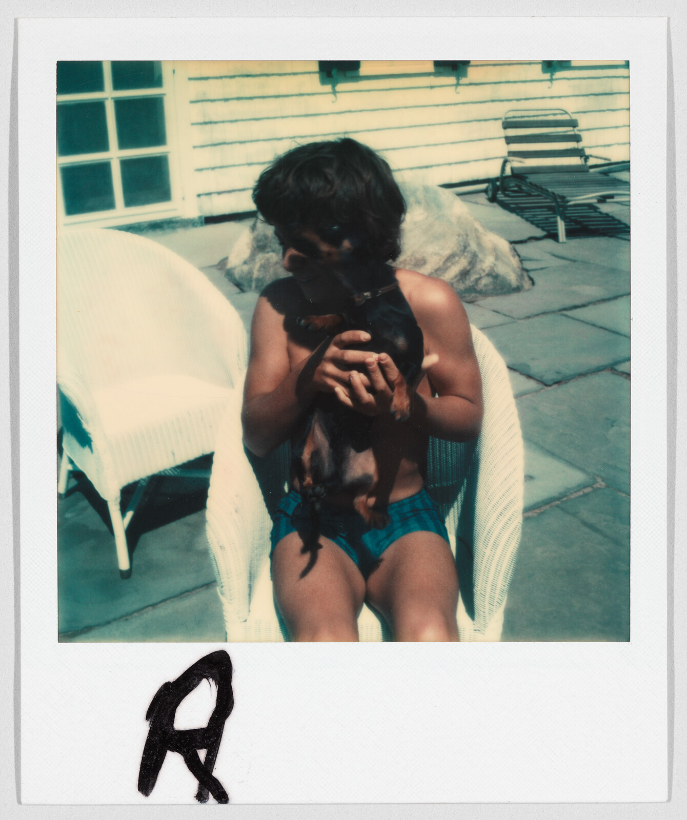 A person in swim trunks sits on a white chair outdoors, holding a small black and brown dog.