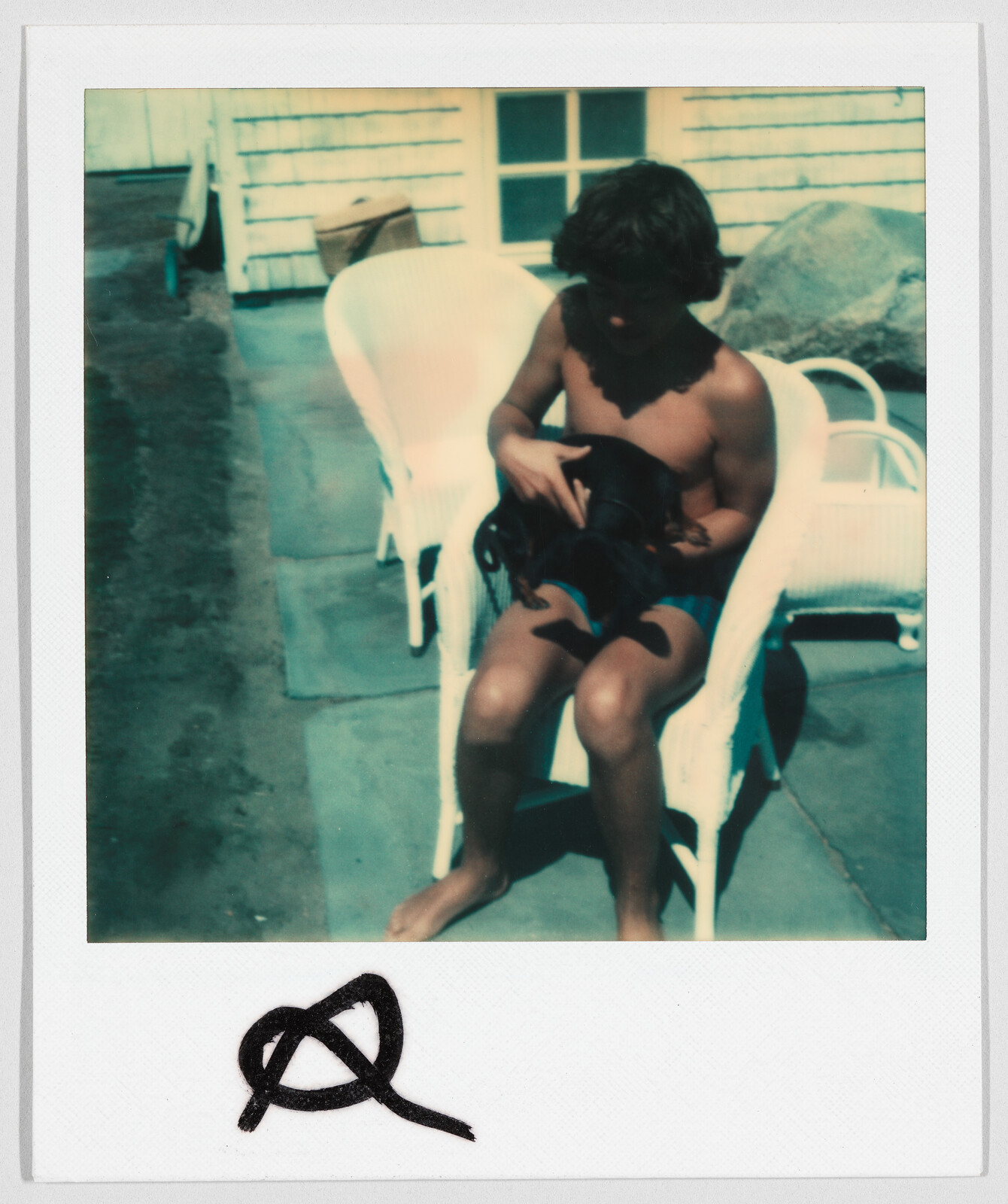 A person sitting on a white chair outdoors holds a small black dog on their lap.