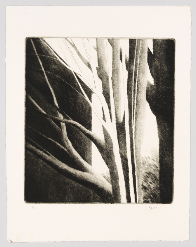 A black and white etching of a dense cluster of trees with prominent vertical trunks and contrasting light and dark areas suggesting a play of light through the foliage. The image is bordered by a white margin with the artist's signature and edition number at the bottom.