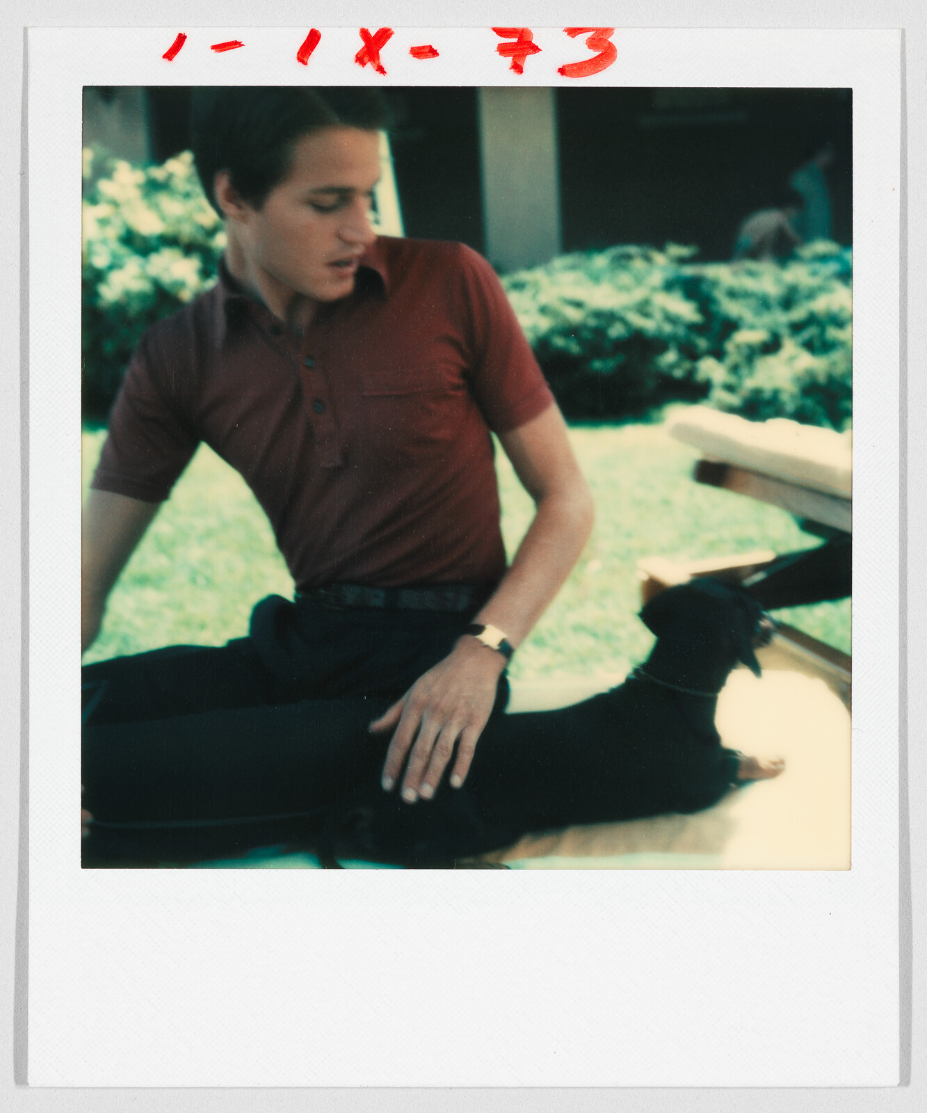 A young man in a red shirt sits outside on a bench, petting a small black dog.