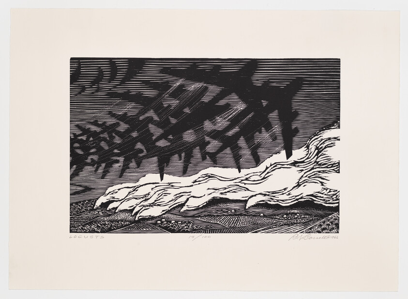 Dark swarm of locusts casts shadows over a windswept rural landscape below.