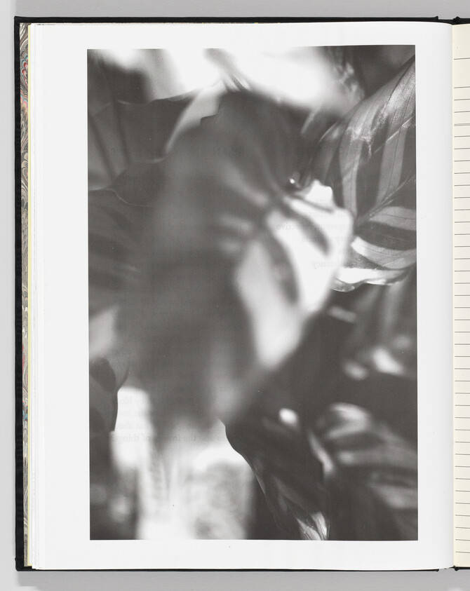 Blurry black-and-white close-up of large tropical leaves filling the page.