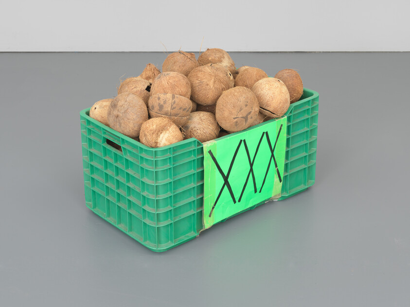 A green plastic crate filled with coconuts on a gray floor against a white wall. The crate has three black X marks on one side.