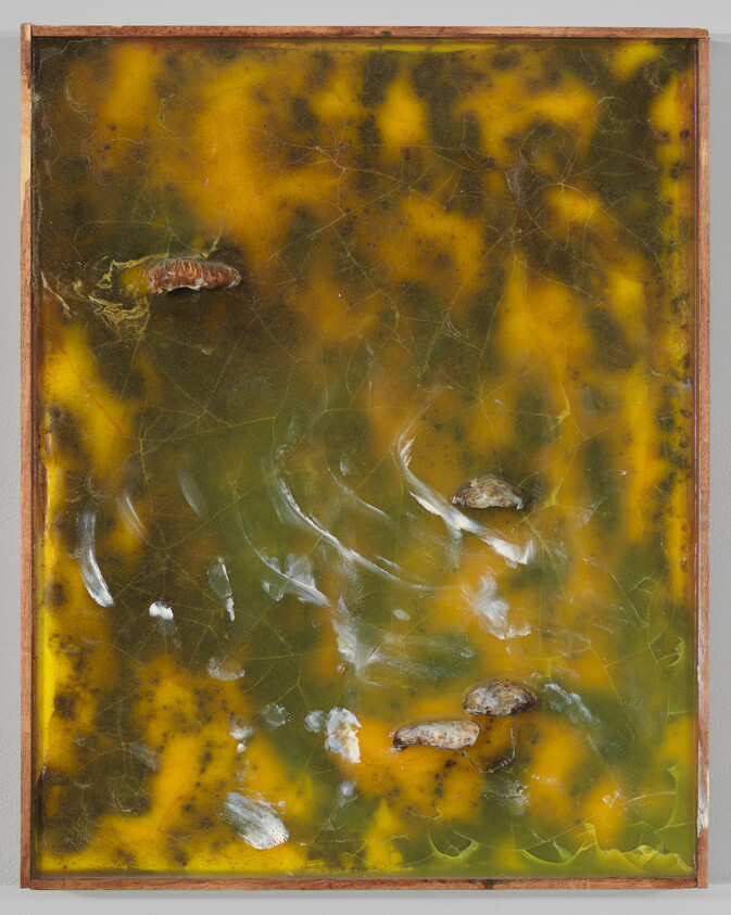 Abstract yellow-green marbled panel with white brush marks and four small shell fragments in a wooden frame.