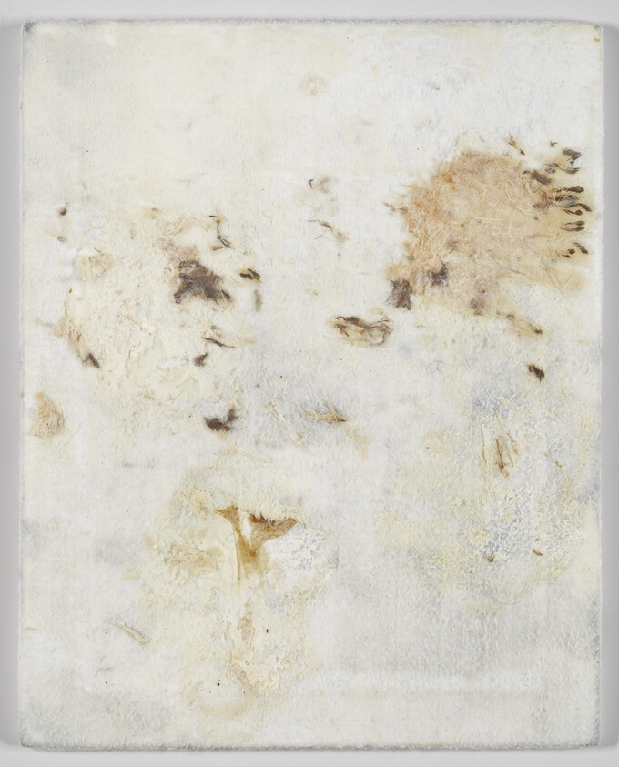 A white textured cloth with scattered brown stains and fibrous discoloration.