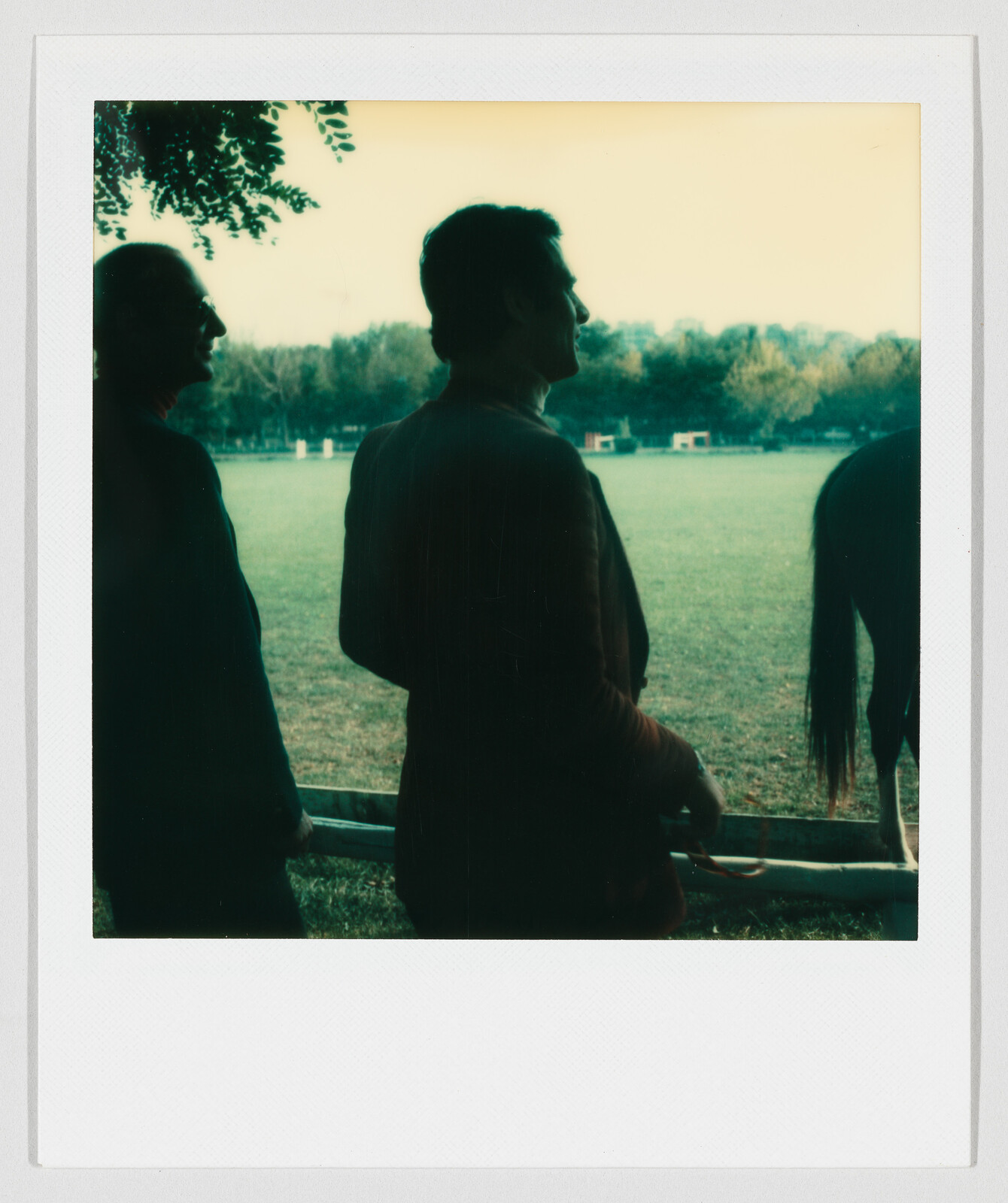 Two men stand by a fence looking across a grassy field while a horse grazes nearby.