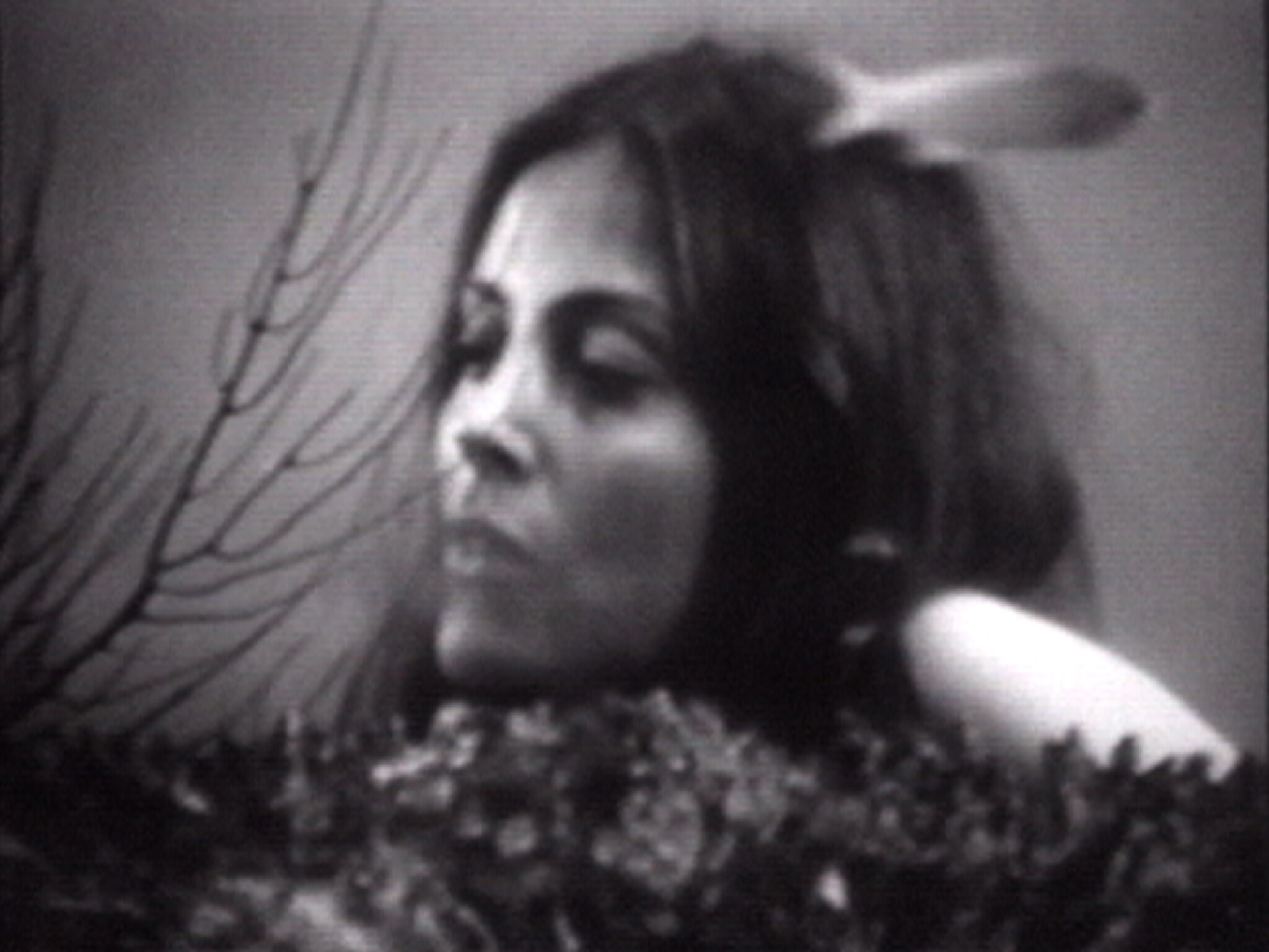 A woman with long hair and a feather in her hair looks down, surrounded by branches and leaves.