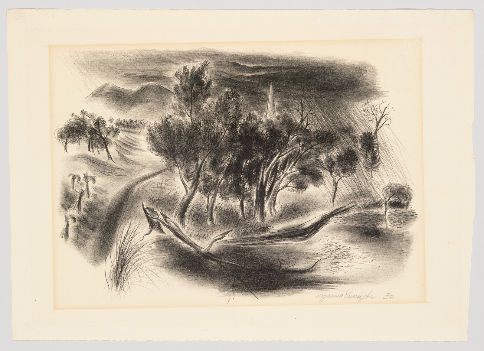 A group of windswept trees and a fallen log beside a winding path under heavy rain.