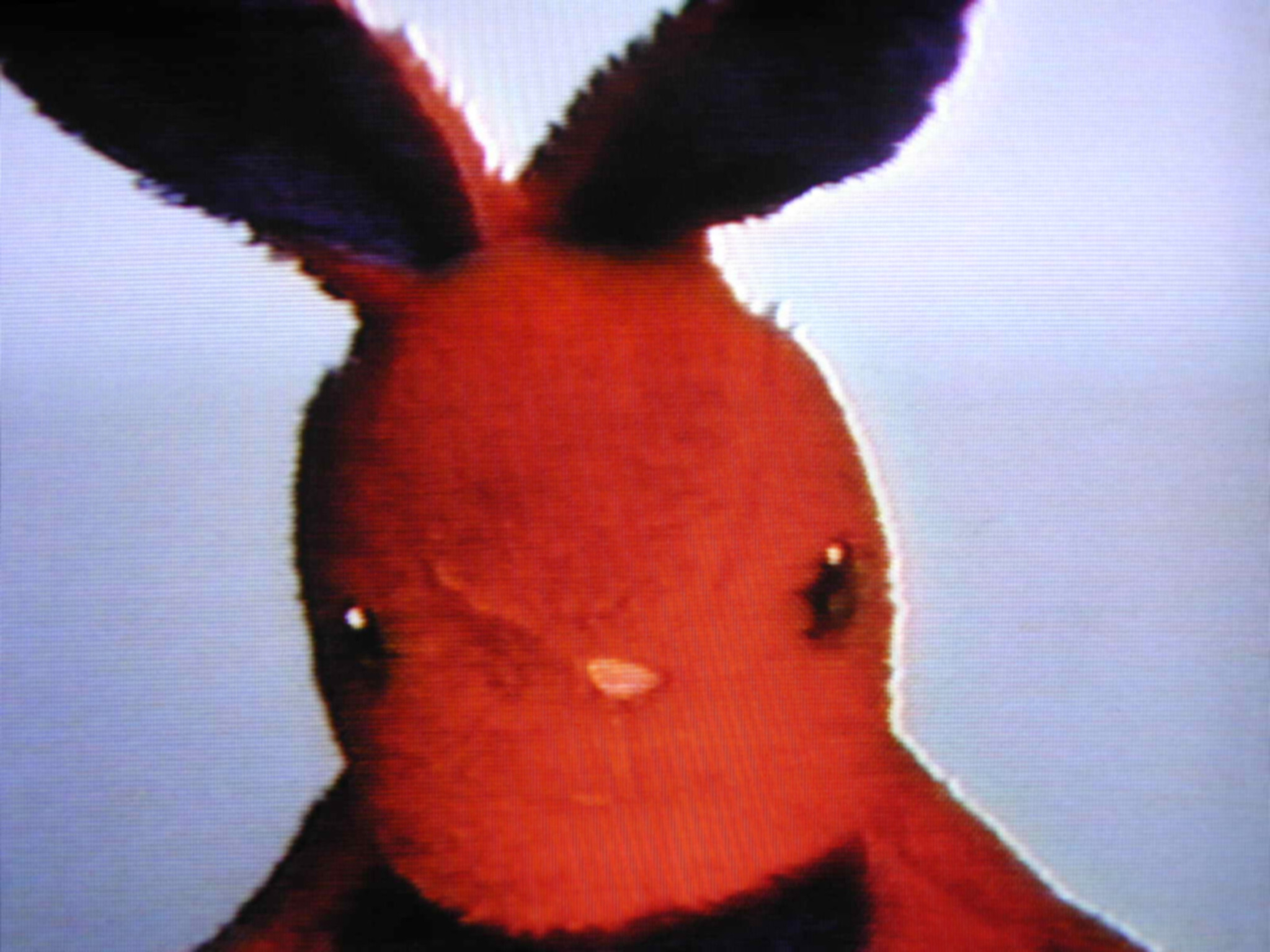 A close-up of a red stuffed bunny with tall dark-tipped ears and a simple stitched face.