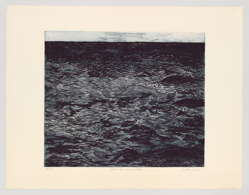 Dark, choppy ocean waves fill the frame with a thin distant horizon at the top.