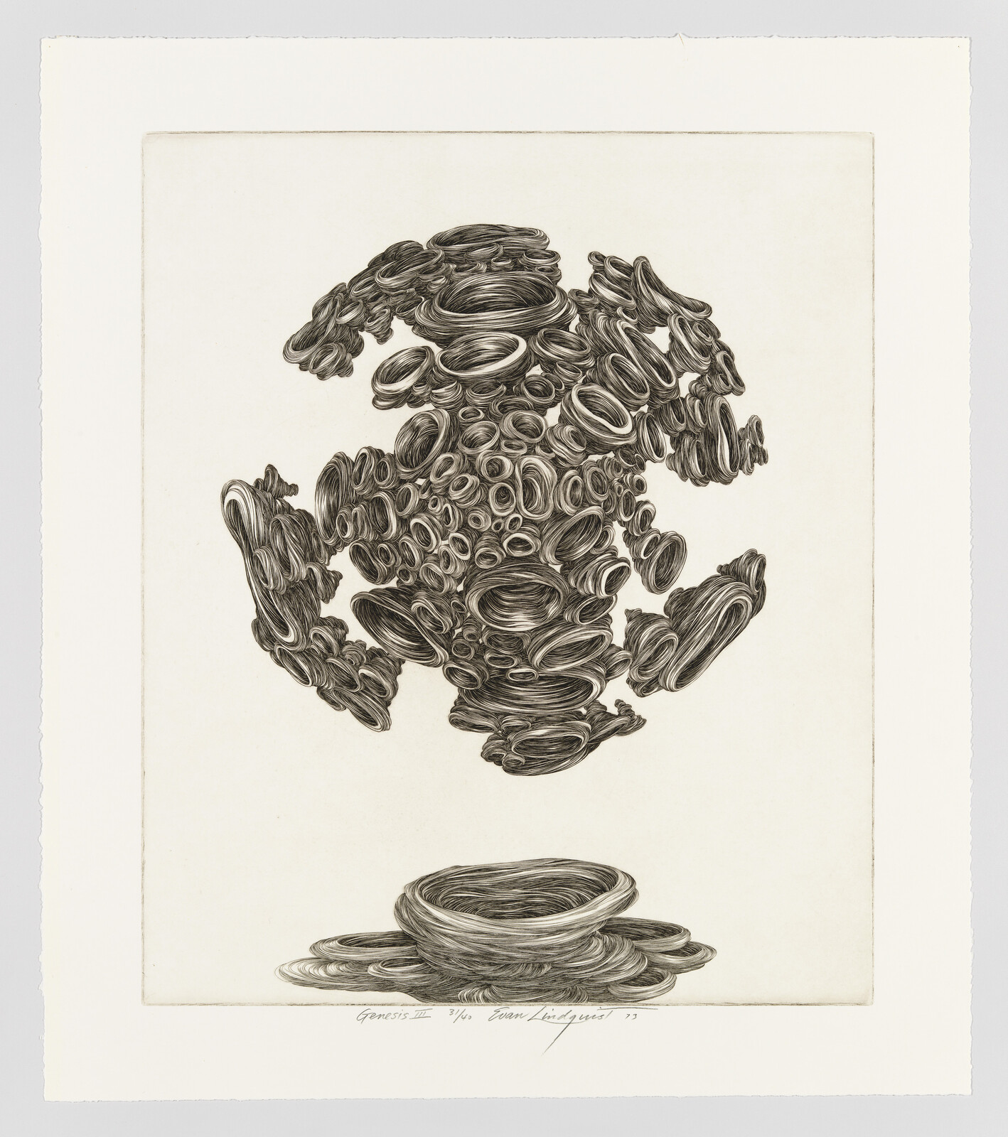 Tightly coiled ring clusters float above a stacked bowl-like nest on a plain background.