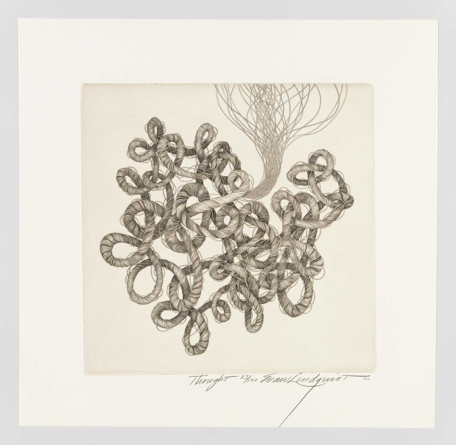 A dense tangle of rope-like strands with loose fibers extending upward.