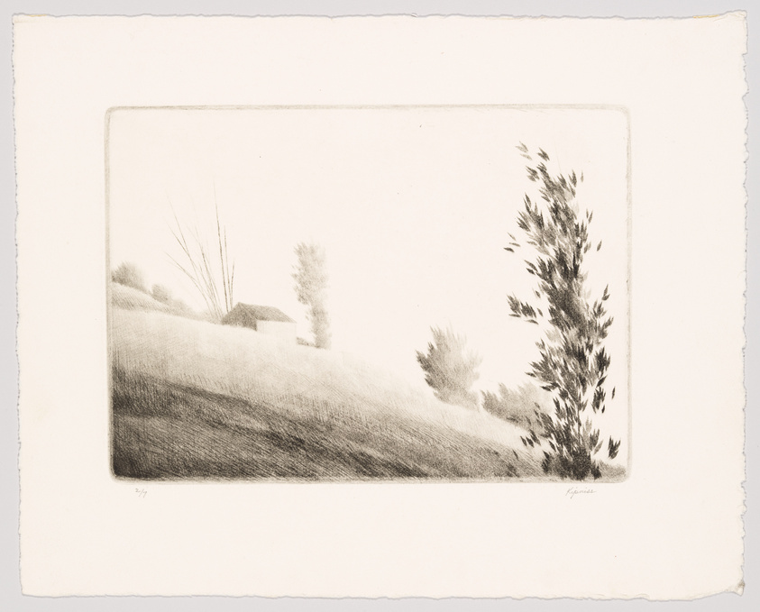 A monochromatic etching depicting a serene landscape scene with a tall, slender tree on the right, various shrubs, and a gentle hill that dominates the composition. The artwork has a soft, sketch-like quality with delicate shading and is signed by the artist in the lower right corner. The print is numbered on the lower left, suggesting it is part of a limited series. The paper has rough edges, indicating it may be handcrafted or specially treated.