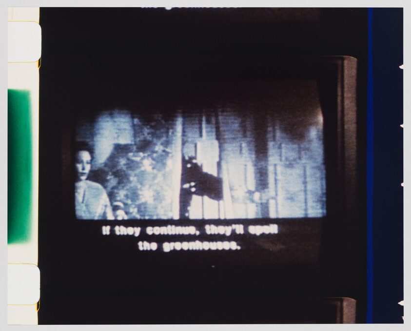 A television screen shows a black-and-white scene with a subtitle warning they will spoil the greenhouse.