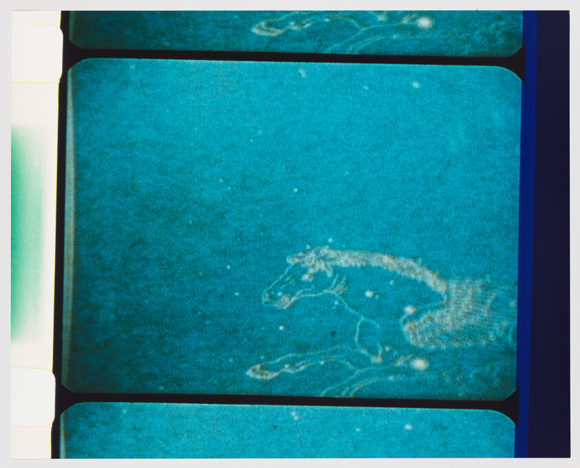 A pale horse-shaped constellation pattern appears on a blue film strip frame.