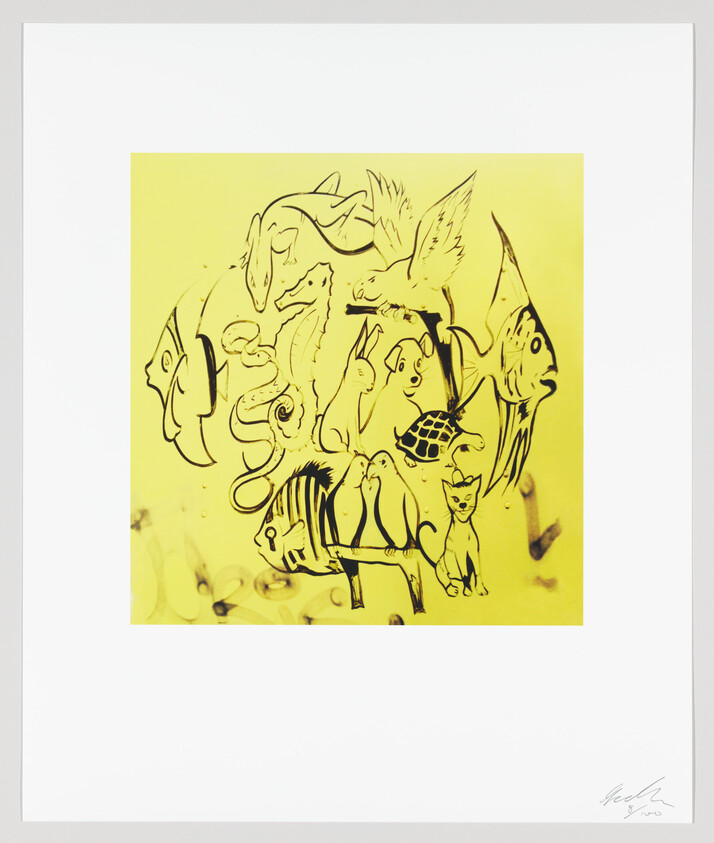 A vibrant yellow artwork featuring a collection of black line drawings of various animals, including a dolphin, birds, a seahorse, a turtle, a zebra, and a cat, all intertwined in an abstract composition. The piece is signed by the artist in the lower right corner.